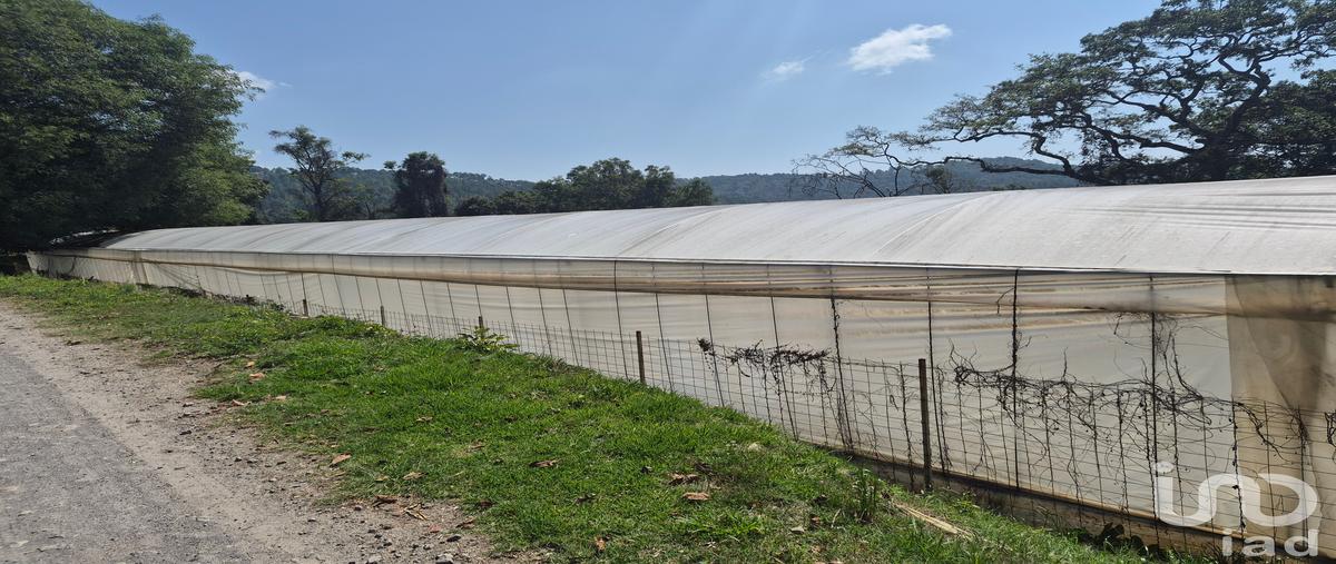 Foto de terreno habitacional en venta en segunda de zacanguillo , segunda de analco, coatepec harinas, méxico, 31121089 No. 05