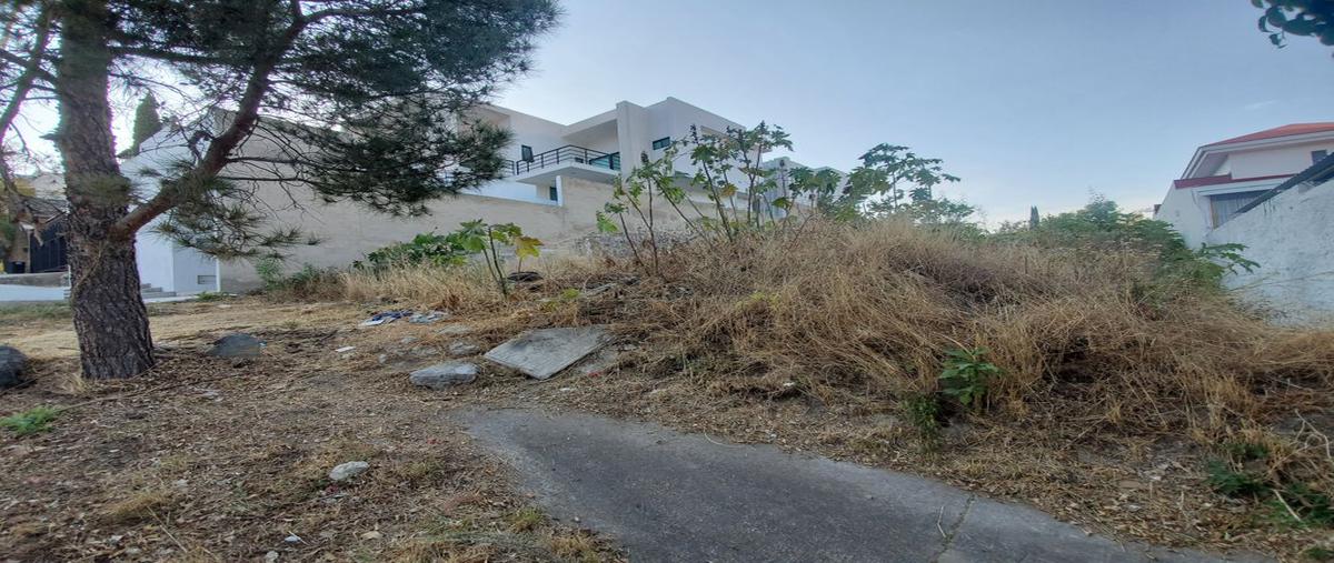 Foto de terreno habitacional en venta en segunda sección , bugambilias, zapopan, jalisco, 18705604 No. 04