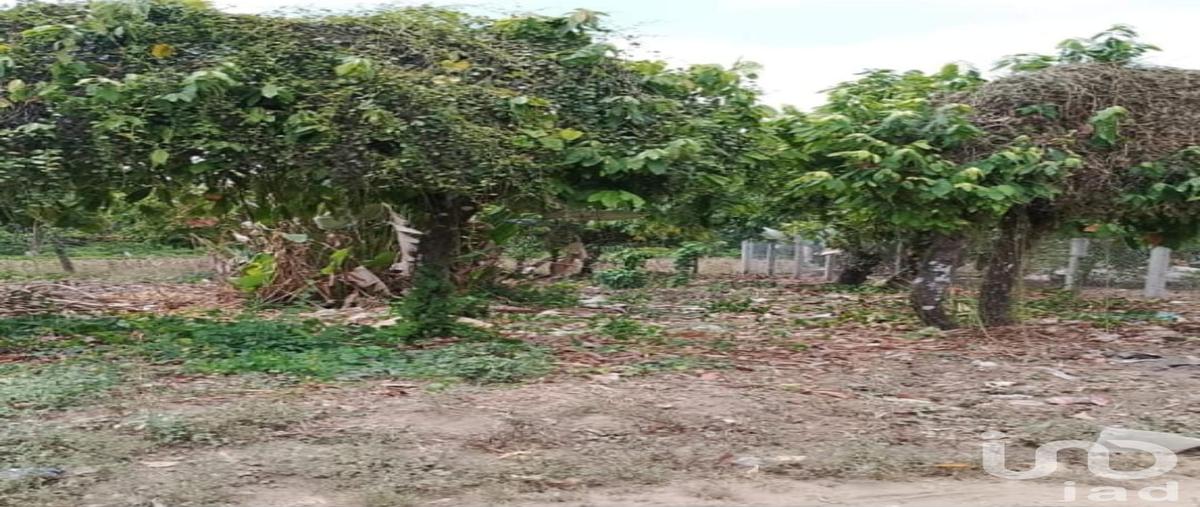 Foto de terreno habitacional en segunda sección de gullén , 2da. sección de guillén, tuxtla chico, chiapas, 0 foto 03 Foto de terreno habitacional en venta en segunda sección de gullén , 2da. sección de guillén, tuxtla chico, chiapas, 0 No. 03