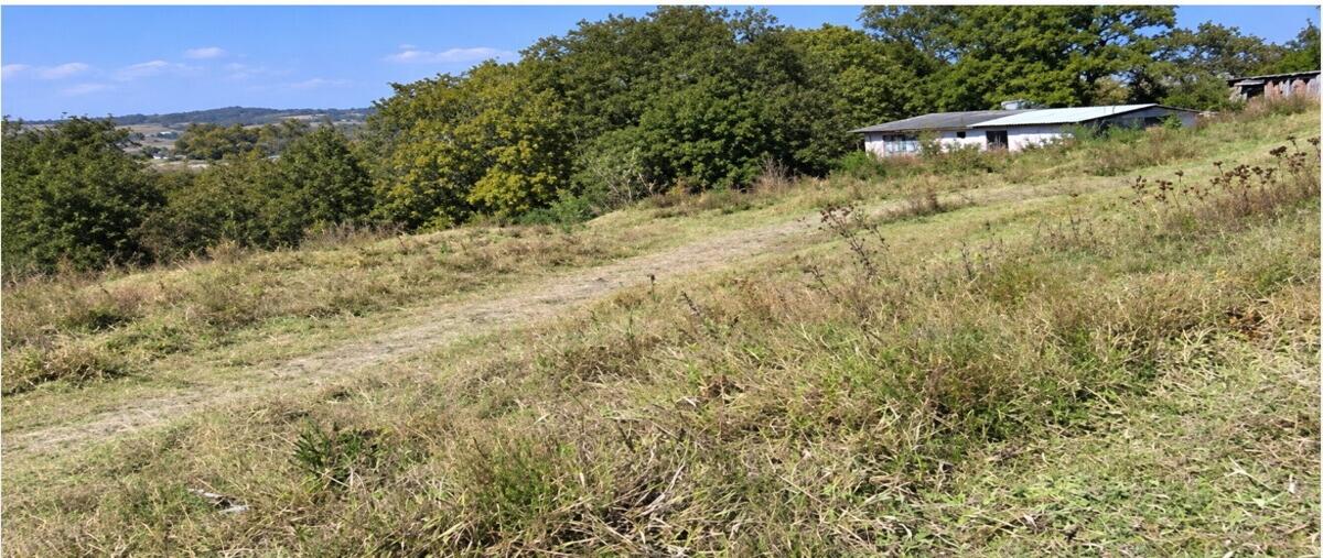 Foto de terreno habitacional en venta en  , segundo barrio cahuacán, nicolás romero, méxico, 0 No. 03