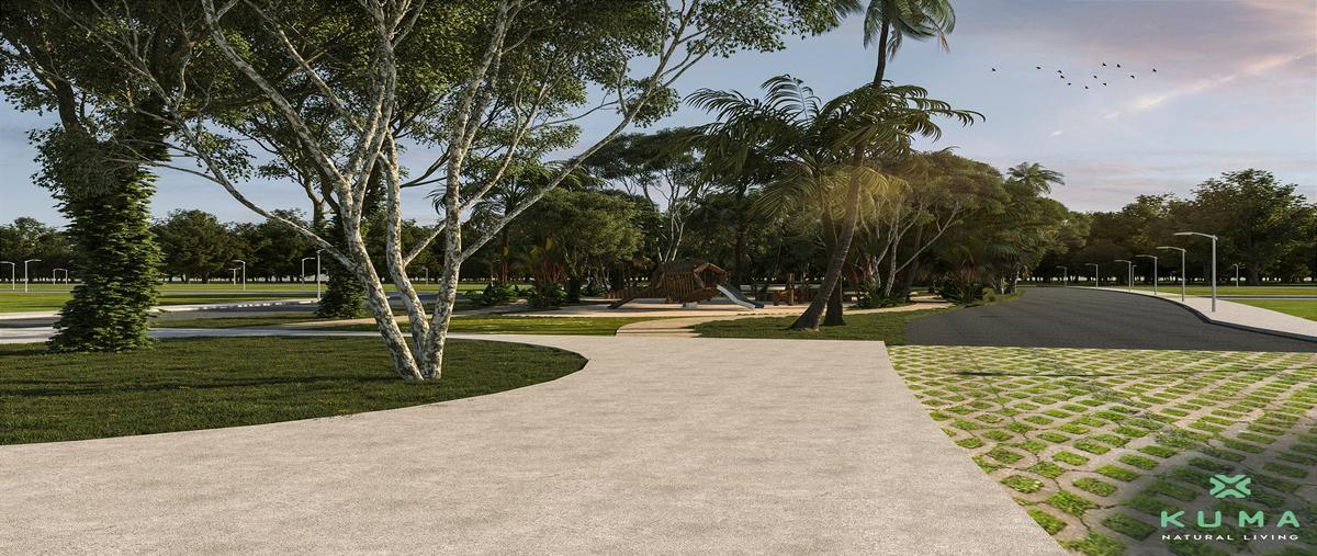 Foto de terreno habitacional en venta en selva norte , tulum centro, tulum, quintana roo, 0 No. 03
