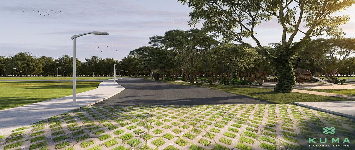 Foto de terreno habitacional en venta en selva norte , tulum centro, tulum, quintana roo, 0 No. 05