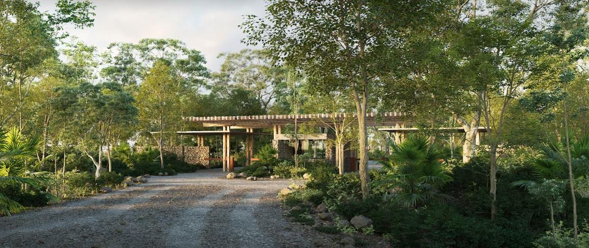 Foto de terreno habitacional en venta en selvadentro , tulum centro, tulum, quintana roo, 28623603 No. 04