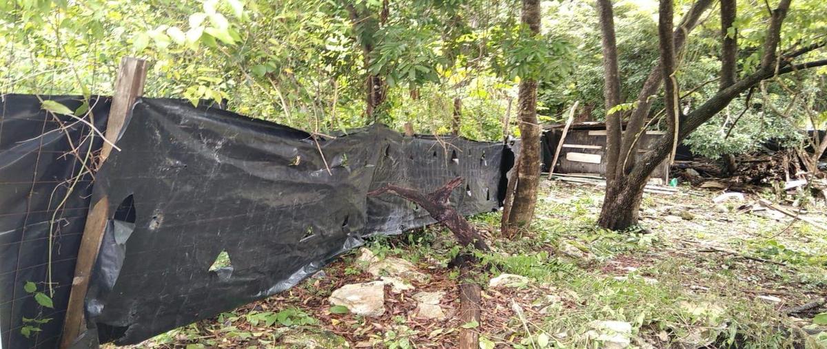 Foto de terreno habitacional en venta en selvamar , playa del carmen, solidaridad, quintana roo, 29247459 No. 04