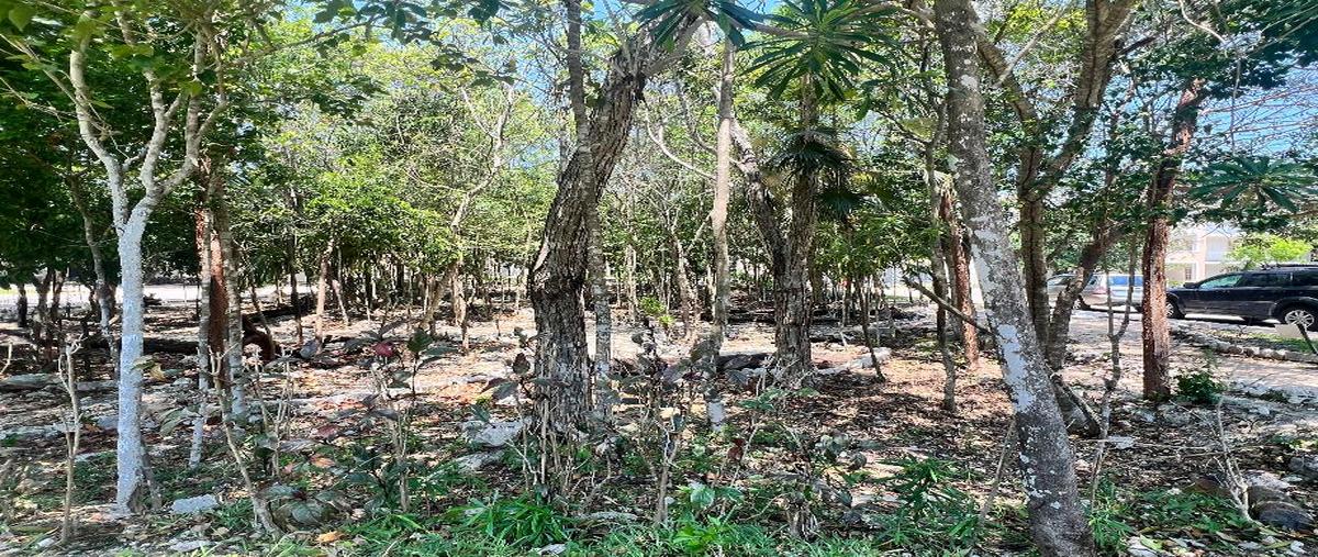 Foto de departamento en venta en selvanova coto 5 , villas del carmen, solidaridad, quintana roo, 28140987 No. 03