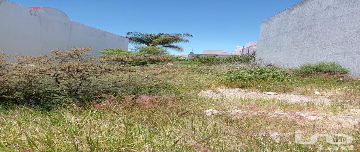 Foto de terreno habitacional en senda celestial 258, milenio iii fase a, querétaro, querétaro, 30385705 foto 02 Foto de terreno habitacional en venta en senda celestial 258, milenio iii fase a, querétaro, querétaro, 30385705 No. 02
