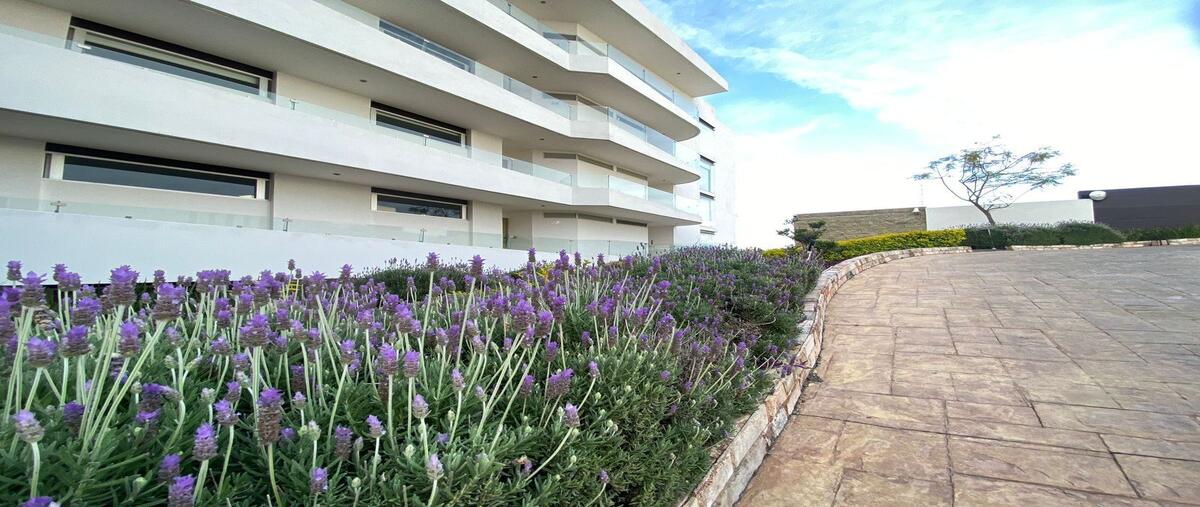 Foto de departamento en venta en senda eterna , zen house ii, el marqués, querétaro, 0 No. 05