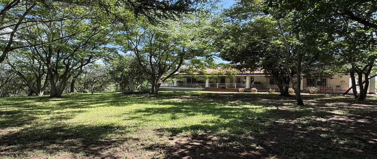 Foto de rancho en venta en sendero , canoas, montemorelos, nuevo león, 30369668 No. 04