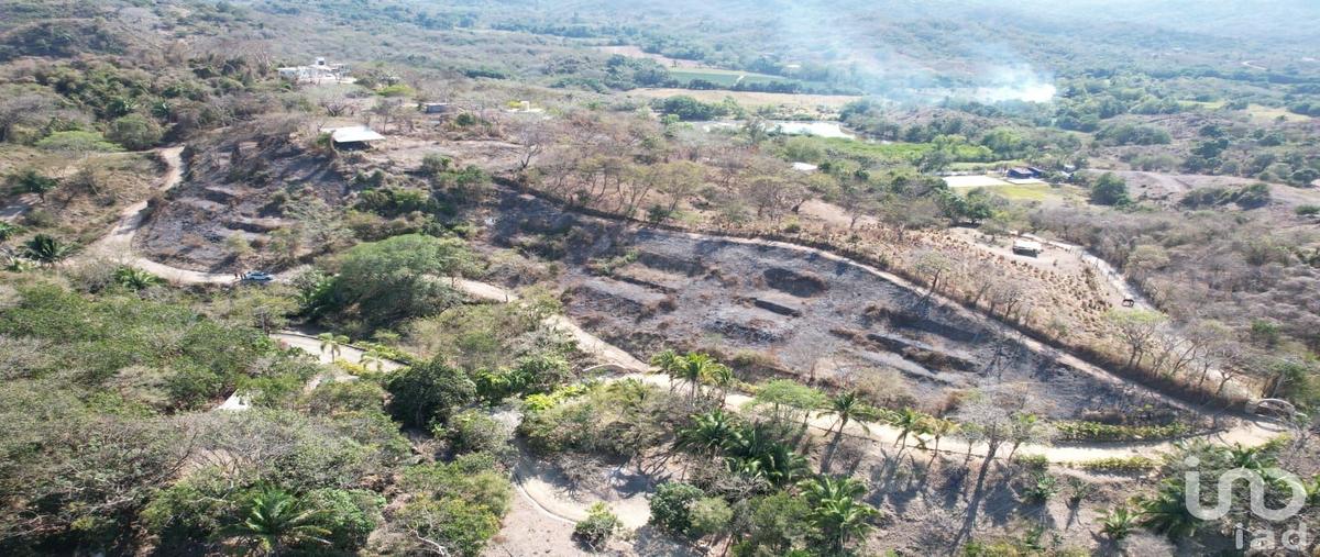 Foto de terreno habitacional en sendero de la cañada , úrsulo galván, compostela, nayarit, 31126646 foto 04 Foto de terreno habitacional en venta en sendero de la cañada , úrsulo galván, compostela, nayarit, 31126646 No. 04