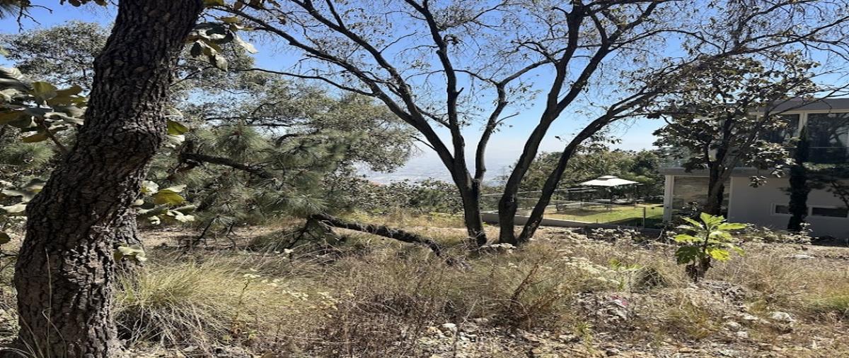 Foto de terreno industrial en venta en sendero del parque , cielo contry club, tlajomulco de zúñiga, jalisco, 27632257 No. 04