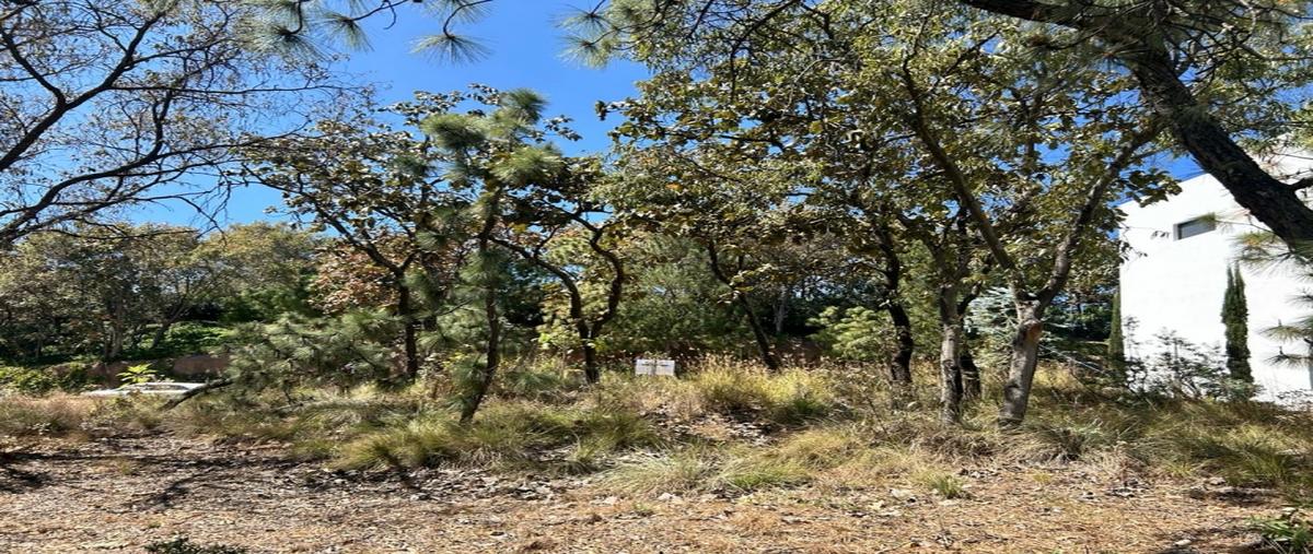 Foto de terreno industrial en venta en sendero del parque , cielo contry club, tlajomulco de zúñiga, jalisco, 27632257 No. 06