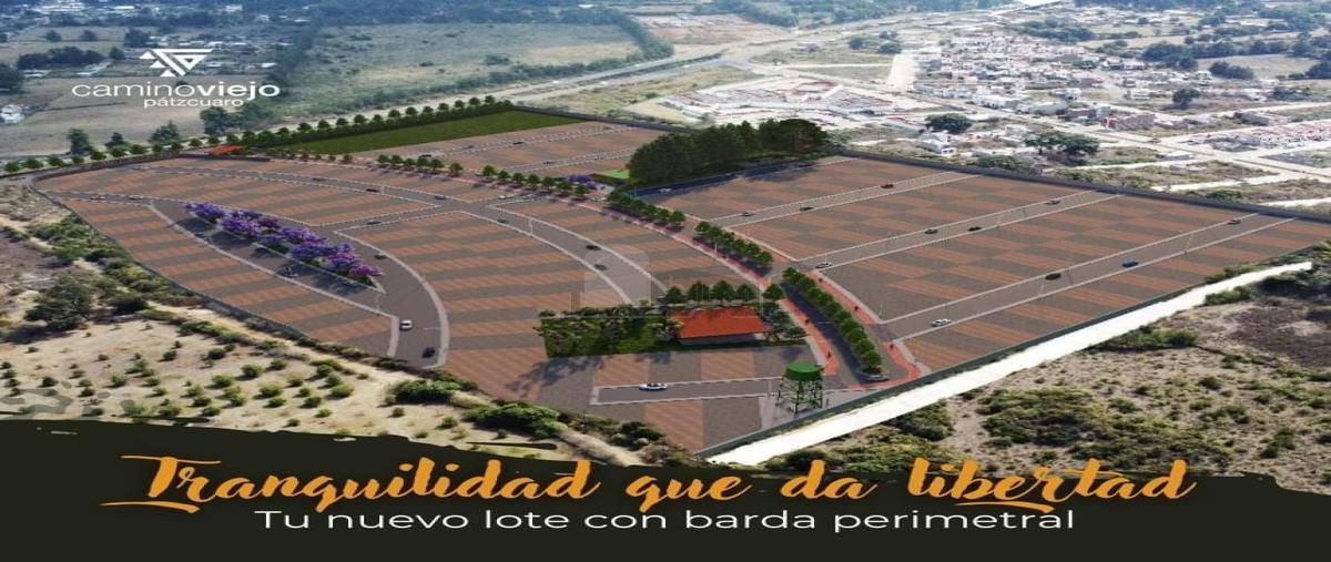 Foto de terreno habitacional en venta en sendero del venado 8, el manzanillal (colonia enrique ramírez), pátzcuaro, michoacán de ocampo, 0 No. 03