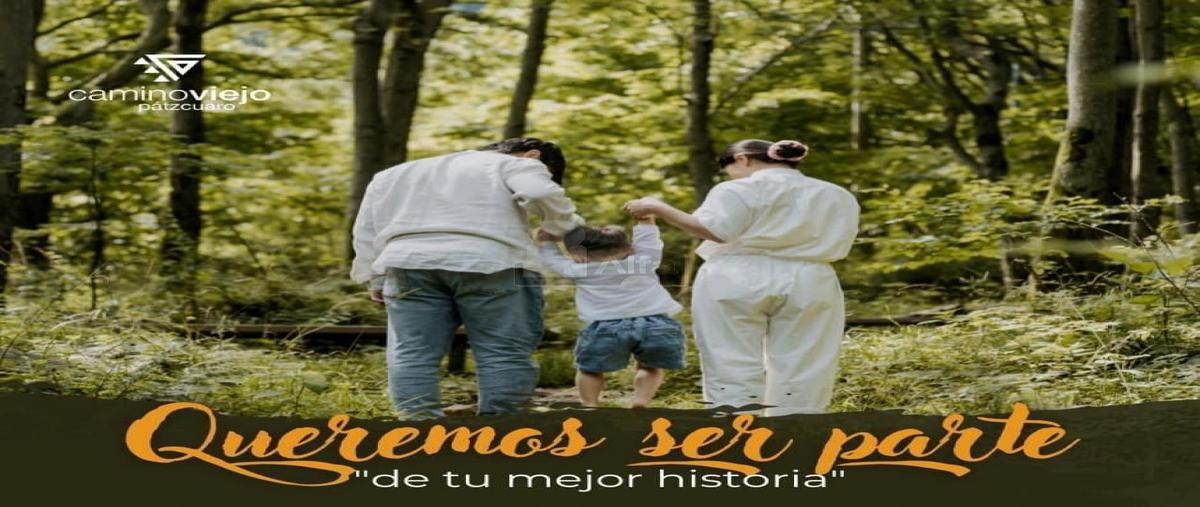 Foto de terreno habitacional en venta en sendero del venado 8, el manzanillal (colonia enrique ramírez), pátzcuaro, michoacán de ocampo, 0 No. 05