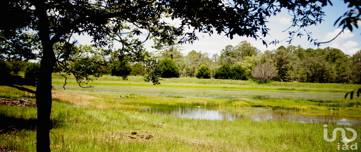 Foto de terreno habitacional en sendero hacienda san pedro alcantara , coyotes (ojo de agua de coyotes), pueblo nuevo, durango, 0 foto 04 Foto de terreno habitacional en venta en sendero hacienda san pedro alcantara , coyotes (ojo de agua de coyotes), pueblo nuevo, durango, 0 No. 04