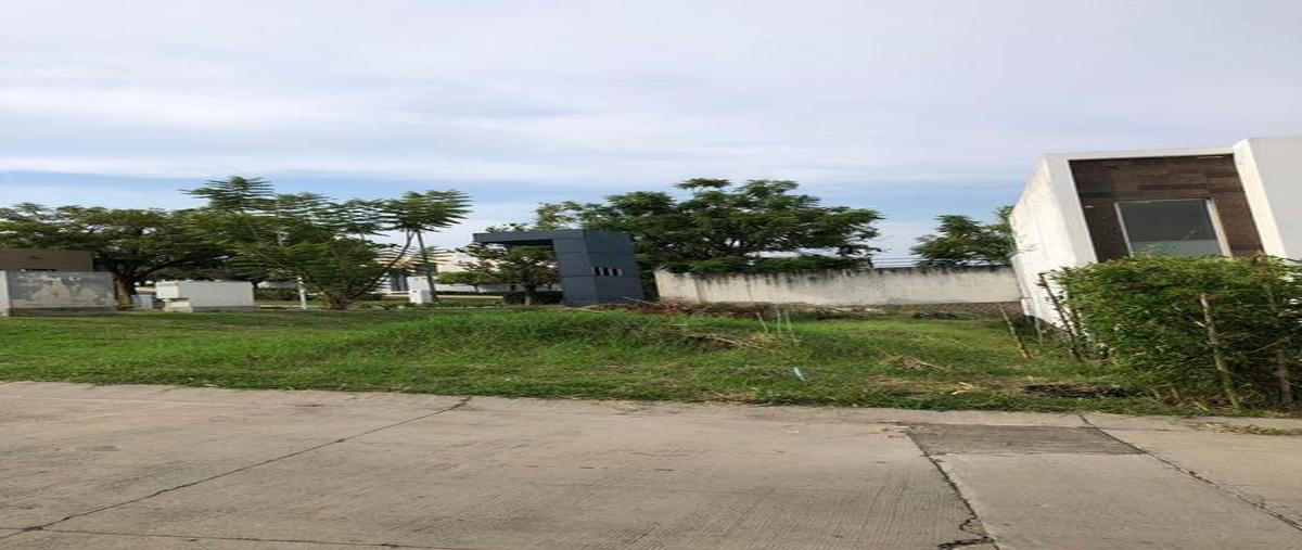 Foto de terreno habitacional en venta en senderos de las agaveras 281, senderos de monte verde, tlajomulco de zúñiga, jalisco, 28445709 No. 04