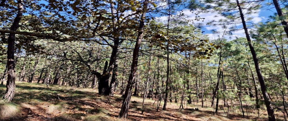 Foto de terreno habitacional en señorío agua zarca, fundo tejón , chiquilistlan, chiquilistlán, jalisco, 0 foto 02 Foto de terreno habitacional en venta en señorío agua zarca, fundo tejón , chiquilistlan, chiquilistlán, jalisco, 0 No. 02