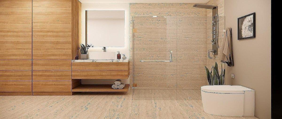 Foto de departamento en venta en serdan , centro, la paz, baja california sur, 0 No. 03