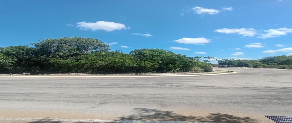 Foto de terreno habitacional en venta en sería carretera merida - progreso kilometro 15.5 , el cortijo i, mérida, yucatán, 27807240 No. 03