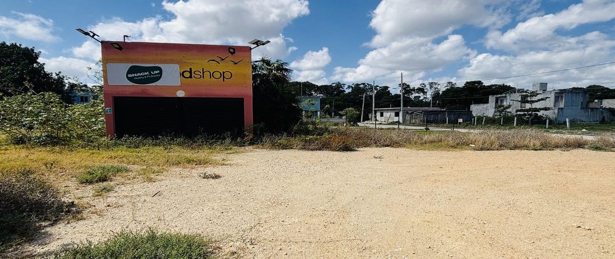 Foto de local en servifresco , chicxulub, chicxulub pueblo, yucatán, 0 foto 01 Foto de local en renta en servifresco , chicxulub, chicxulub pueblo, yucatán, 0 No. 01