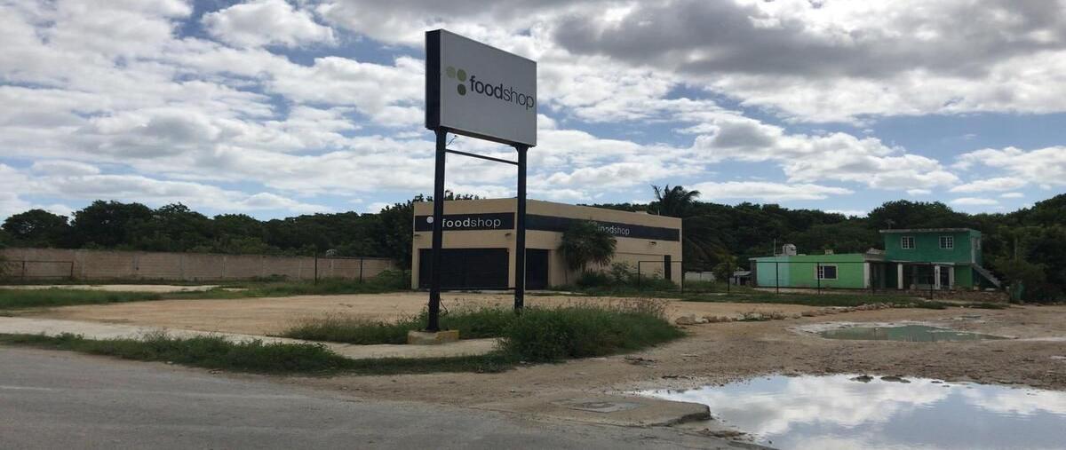 Foto de local en servifresco , chicxulub, chicxulub pueblo, yucatán, 0 foto 02 Foto de local en renta en servifresco , chicxulub, chicxulub pueblo, yucatán, 0 No. 02