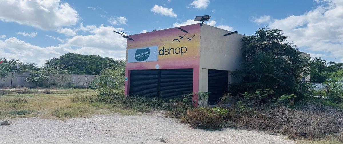 Foto de local en servifresco , chicxulub, chicxulub pueblo, yucatán, 0 foto 04 Foto de local en renta en servifresco , chicxulub, chicxulub pueblo, yucatán, 0 No. 04