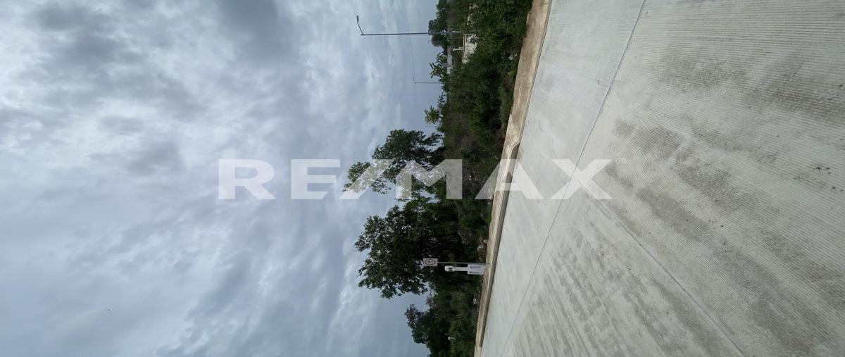 Foto de terreno habitacional en venta en seye , cholul, mérida, yucatán, 30143699 No. 05