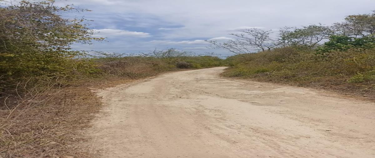Foto de terreno habitacional en venta en  , seye, seyé, yucatán, 27681750 No. 03