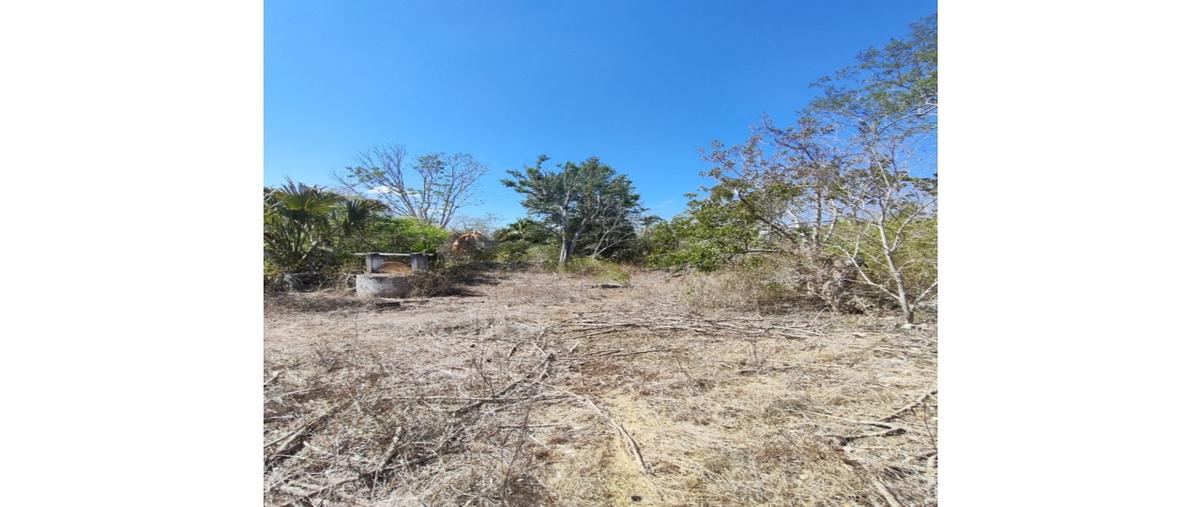 Foto de terreno habitacional en venta en  , seye, seyé, yucatán, 0 No. 03