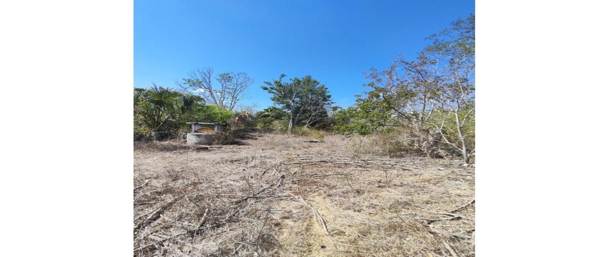 Foto de terreno habitacional en venta en  , seye, seyé, yucatán, 0 No. 05