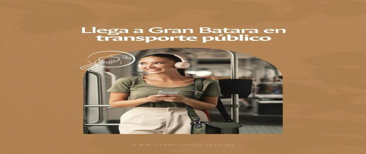 Foto de terreno habitacional en venta en  , seye, seyé, yucatán, 0 No. 05