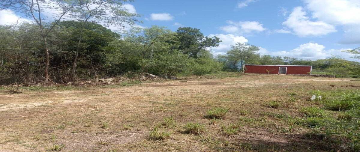 Foto de terreno habitacional en , seye, seyé, yucatán, 0 foto 03 Foto de terreno habitacional en venta en , seye, seyé, yucatán, 0 No. 03