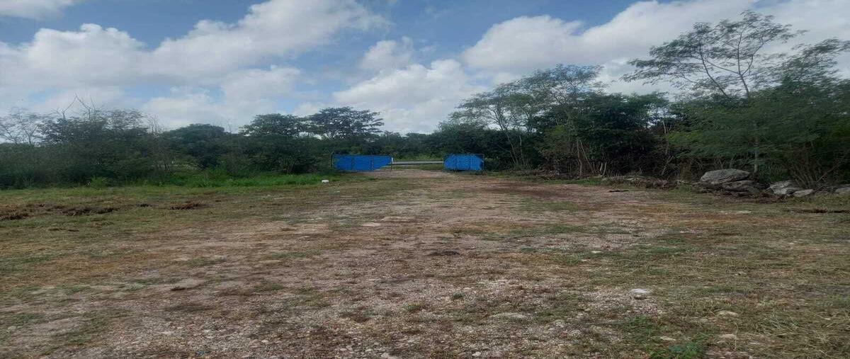 Foto de terreno habitacional en , seye, seyé, yucatán, 0 foto 05 Foto de terreno habitacional en venta en , seye, seyé, yucatán, 0 No. 05