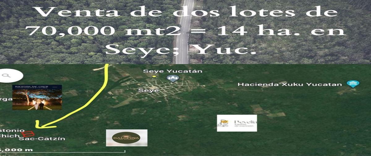 Foto de terreno habitacional en venta en  , seye, seyé, yucatán, 0 No. 05