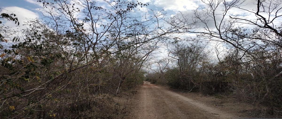 Foto de terreno habitacional en venta en  , seye, seyé, yucatán, 0 No. 03
