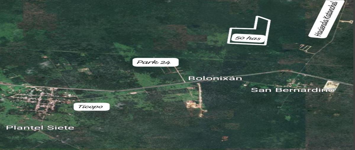 Foto de terreno habitacional en venta en  , seye, seyé, yucatán, 30249325 No. 04