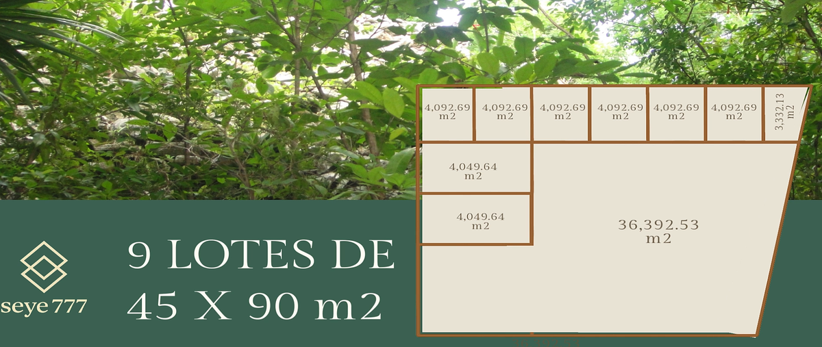 Foto de terreno habitacional en venta en  , seye, seyé, yucatán, 31093537 No. 03