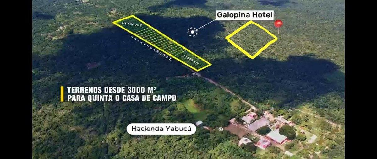 Foto de terreno habitacional en venta en  , seye, seyé, yucatán, 31093537 No. 04