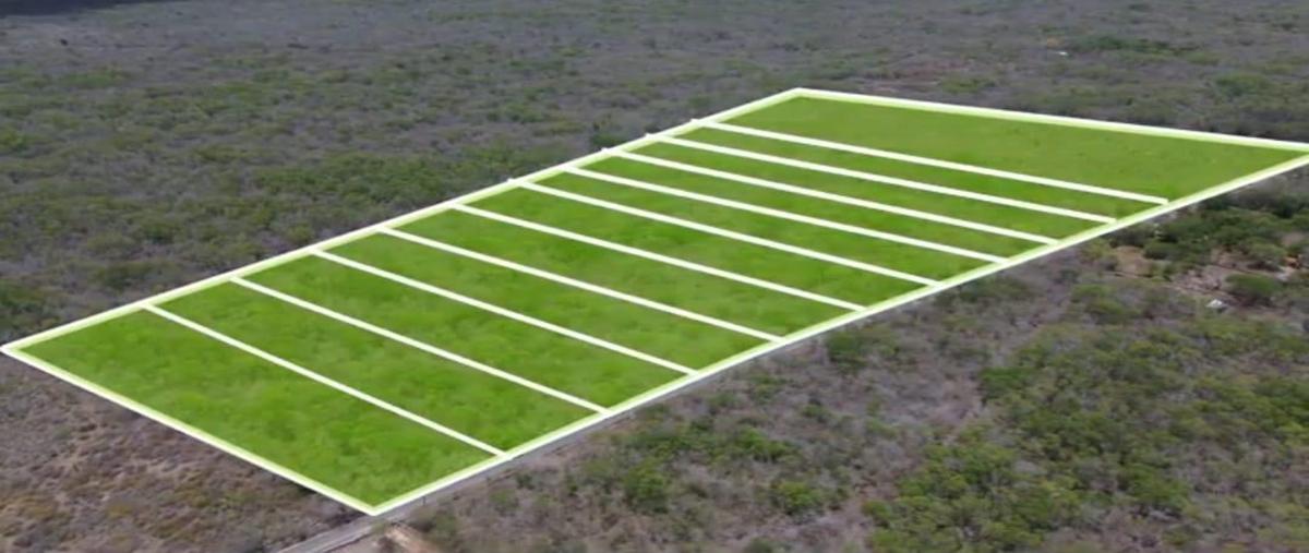Foto de terreno habitacional en venta en  , seye, seyé, yucatán, 0 No. 03