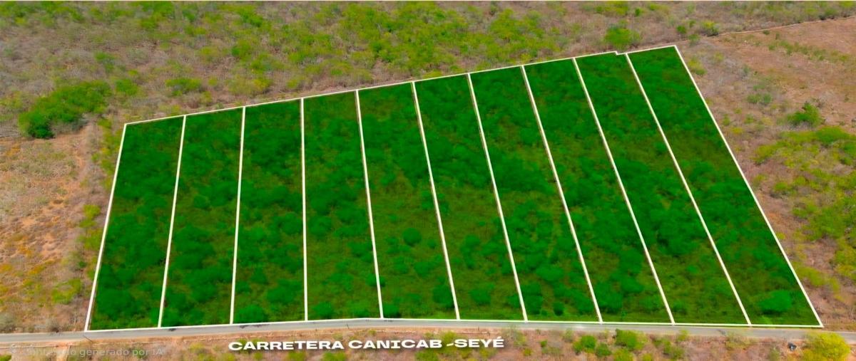Foto de terreno habitacional en venta en  , seye, seyé, yucatán, 0 No. 04