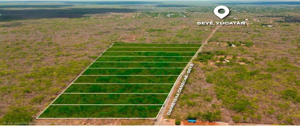 Foto de terreno habitacional en venta en  , seye, seyé, yucatán, 0 No. 05