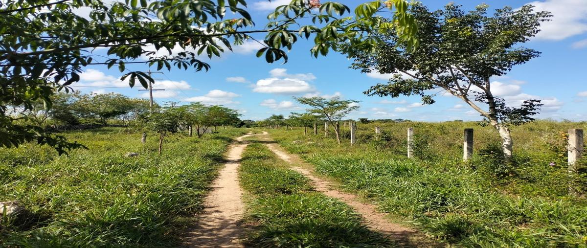 Foto de rancho en seye whi312340, seye, seyé, yucatán, 0 foto 03 Foto de rancho en venta en seye whi312340, seye, seyé, yucatán, 0 No. 03