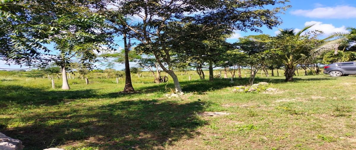 Foto de rancho en seye whi312340, seye, seyé, yucatán, 0 foto 04 Foto de rancho en venta en seye whi312340, seye, seyé, yucatán, 0 No. 04