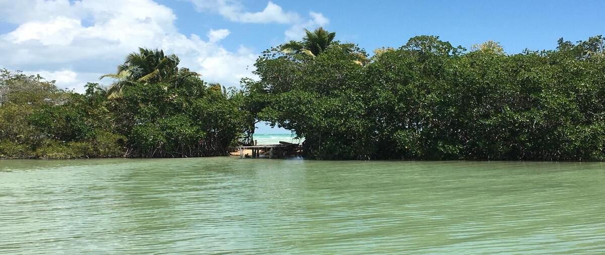 Foto de terreno habitacional en venta en  , sian kaan, othón p. blanco, quintana roo, 30855781 No. 03