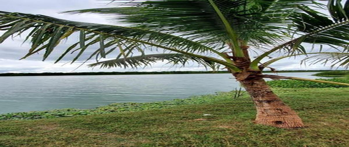 Foto de terreno habitacional en venta en  , sian kaan, othón p. blanco, quintana roo, 0 No. 03
