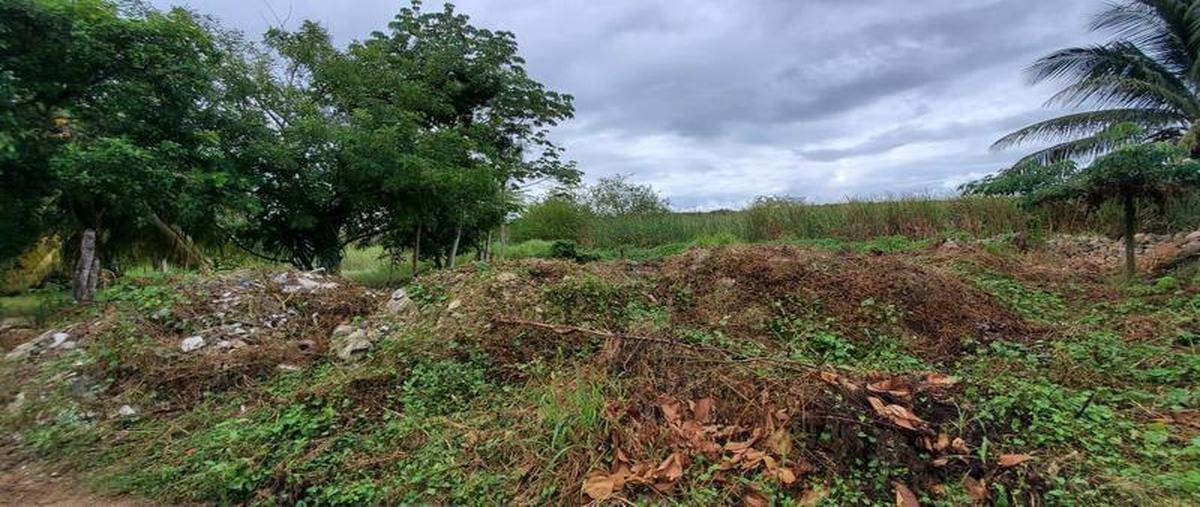 Foto de terreno habitacional en venta en  , sian kaan, othón p. blanco, quintana roo, 0 No. 04