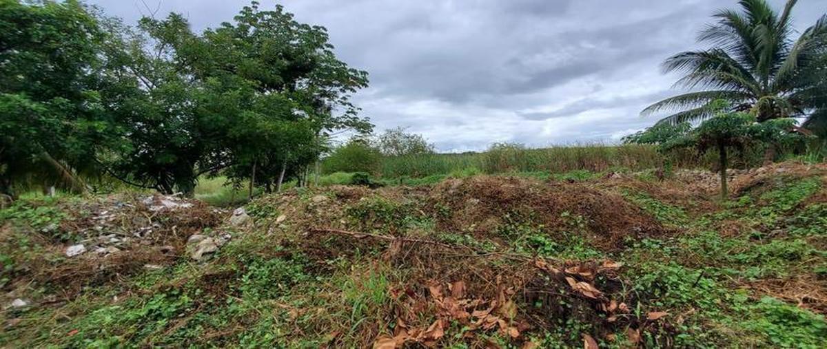 Foto de terreno habitacional en venta en  , sian kaan, othón p. blanco, quintana roo, 0 No. 05