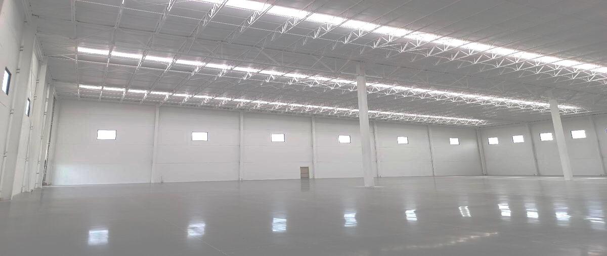 Foto de nave industrial en renta en  , siena, pesquería, nuevo león, 0 No. 04