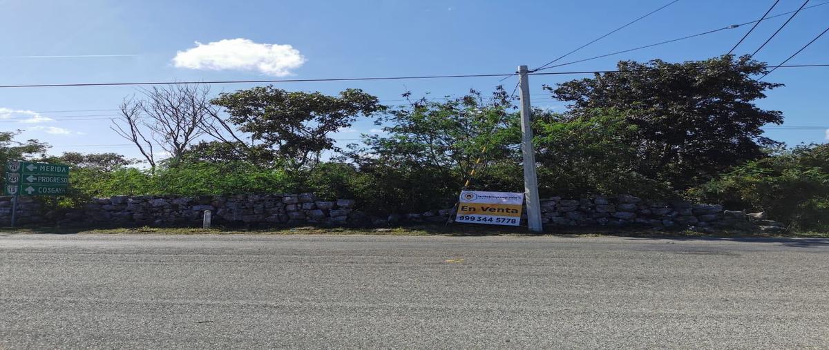 Foto de terreno habitacional en sierra 15, hacienda de san juan , sierra papacal, mérida, yucatán, 25054345 foto 02 Foto de terreno habitacional en venta en sierra 15, hacienda de san juan , sierra papacal, mérida, yucatán, 25054345 No. 02
