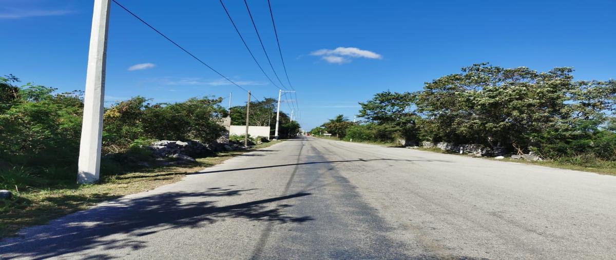 Foto de terreno habitacional en sierra 15, hacienda de san juan , sierra papacal, mérida, yucatán, 25054345 foto 04 Foto de terreno habitacional en venta en sierra 15, hacienda de san juan , sierra papacal, mérida, yucatán, 25054345 No. 04