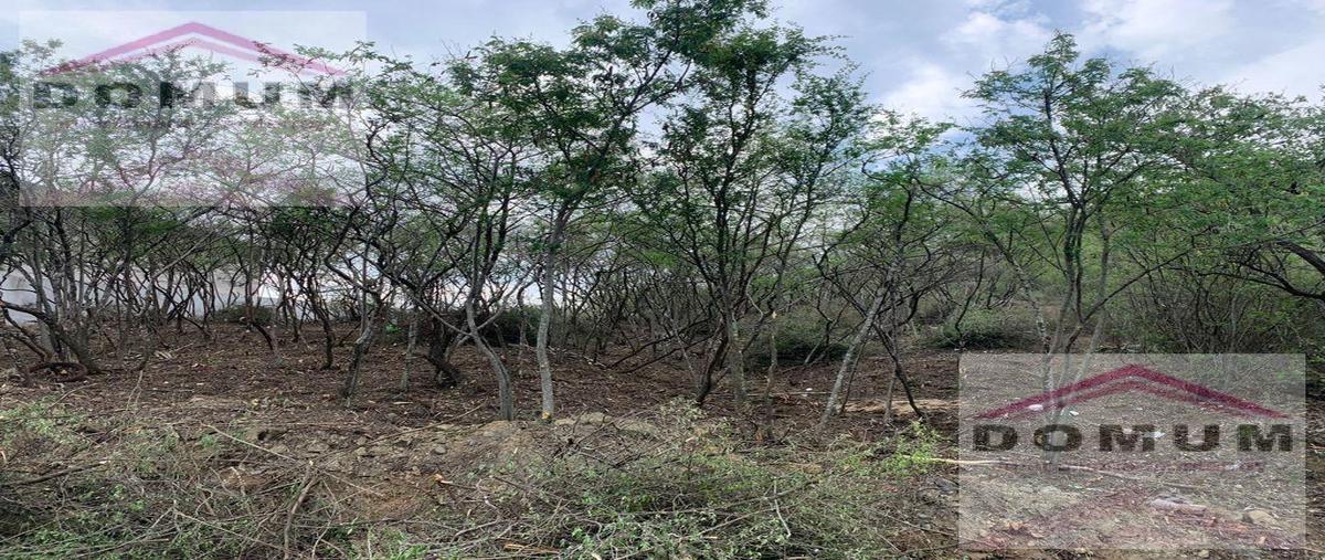 Foto de terreno habitacional en venta en  , sierra alta 3er sector, monterrey, nuevo león, 30212065 No. 04